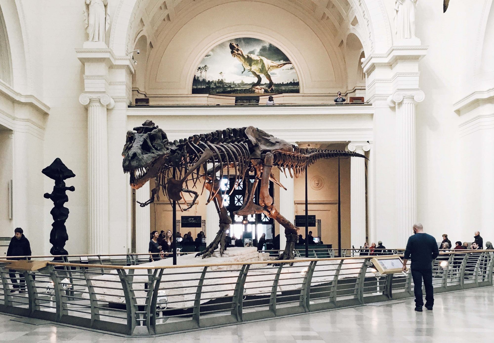 A dinosaur skeleton on display behind barriers in a large, light filled museum. People surround the exhibit viewing it and reading signage.