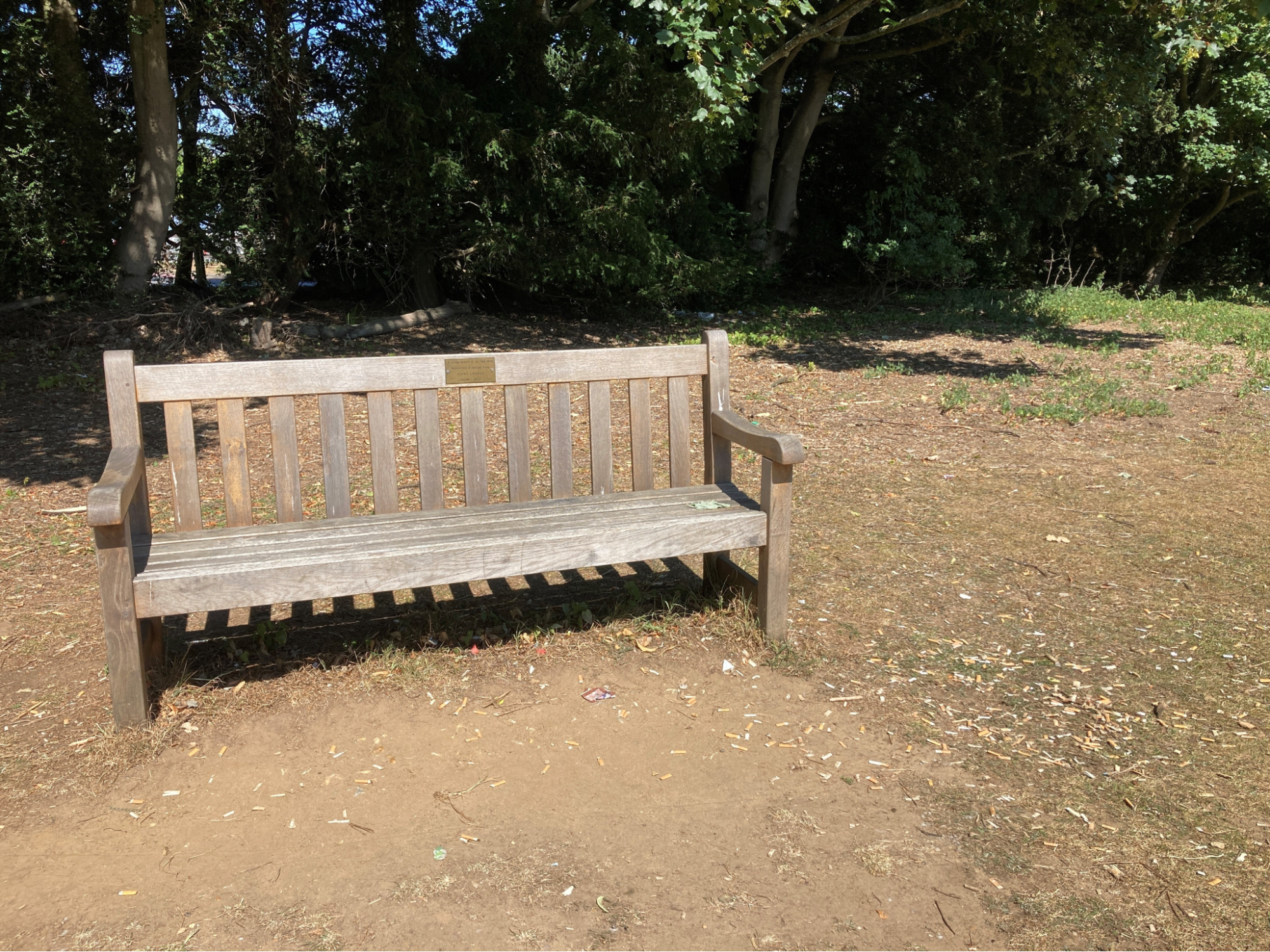 Park bench surrounded by discarded cigarette butts. Bench is located on Heath, not not on the West Suffolk Hospital site but adjacent to the hospital site entrance. feature image