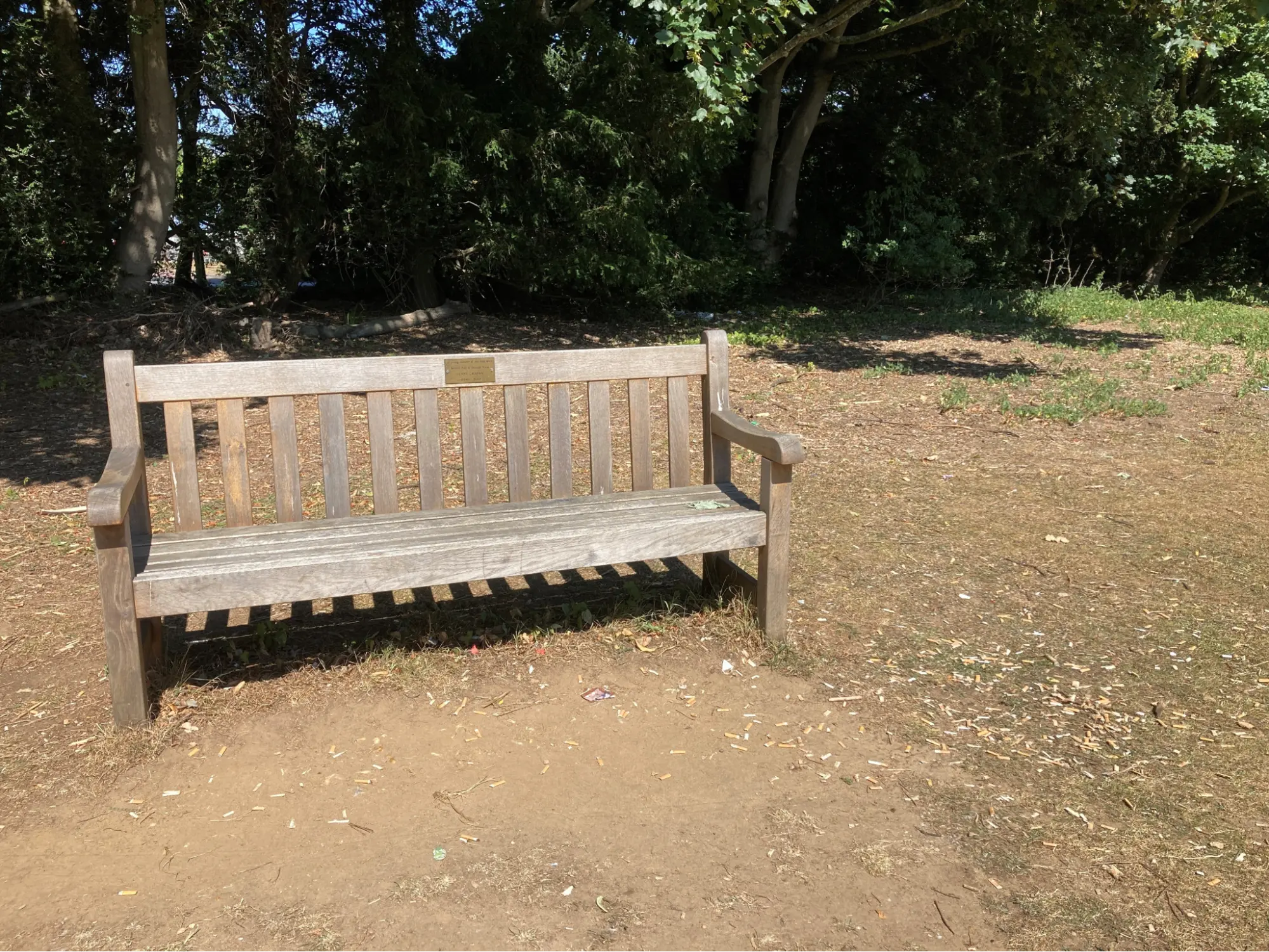 park_bench_WSH feature image