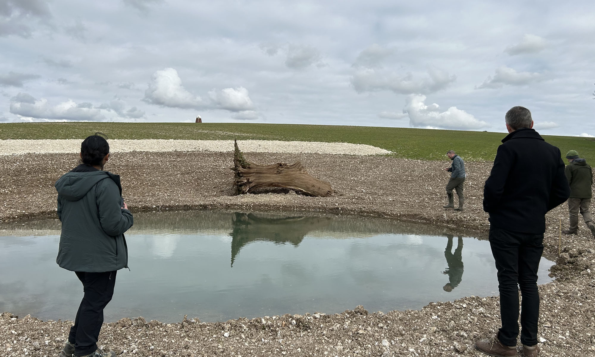 Team conducting a site visit at Halnaker Hill Farm for research into biodiversity. Four people surround a small pond.