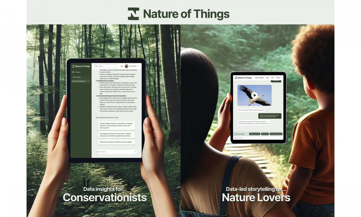 Satellite Applications Catapult, REWILDlife image