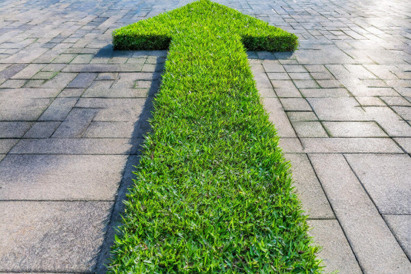 A patch of grass in the shape of a single arrow