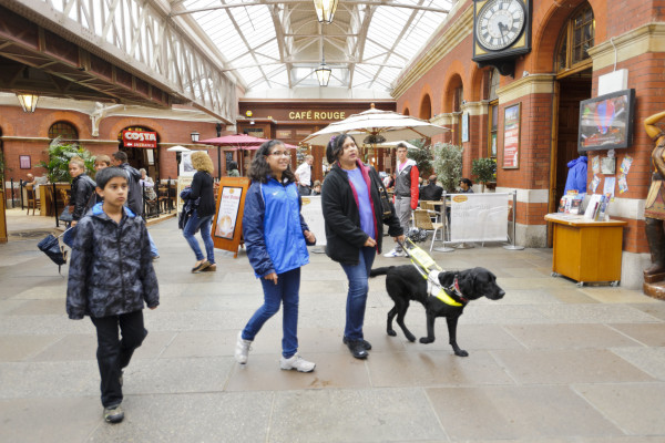 Guide Dogs for the Blind Association cover image